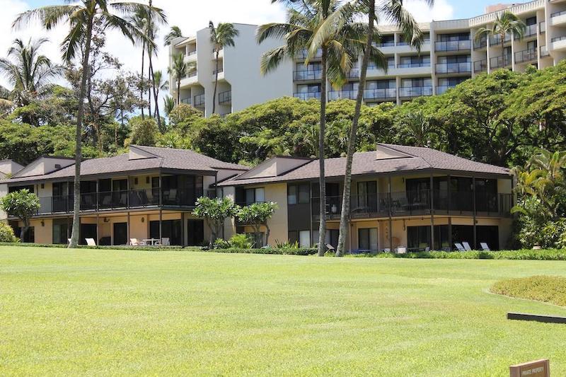 Tree-lined property boundaries maintain privacy for residents