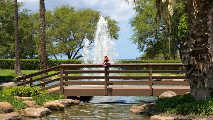 Kamaole Sands bridge