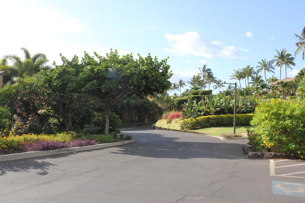 Wide beautiful entry drives into Wailea Ekahi