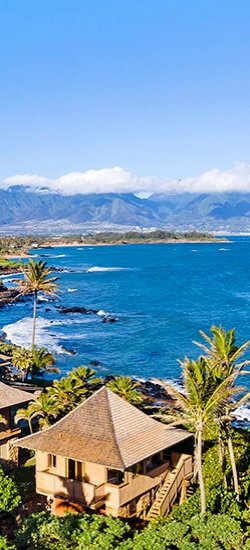 A green and rocky coastline