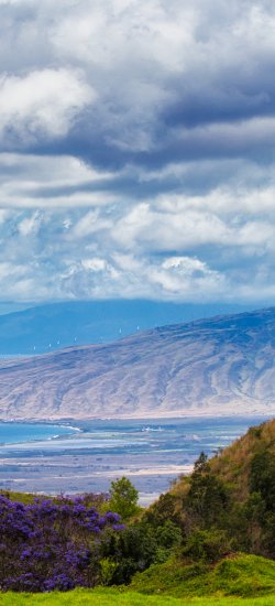 Elegant mountains running into the sea