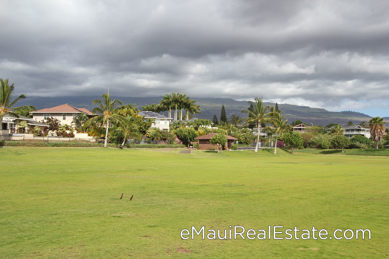There is a large park adjacent to Moana Estates.