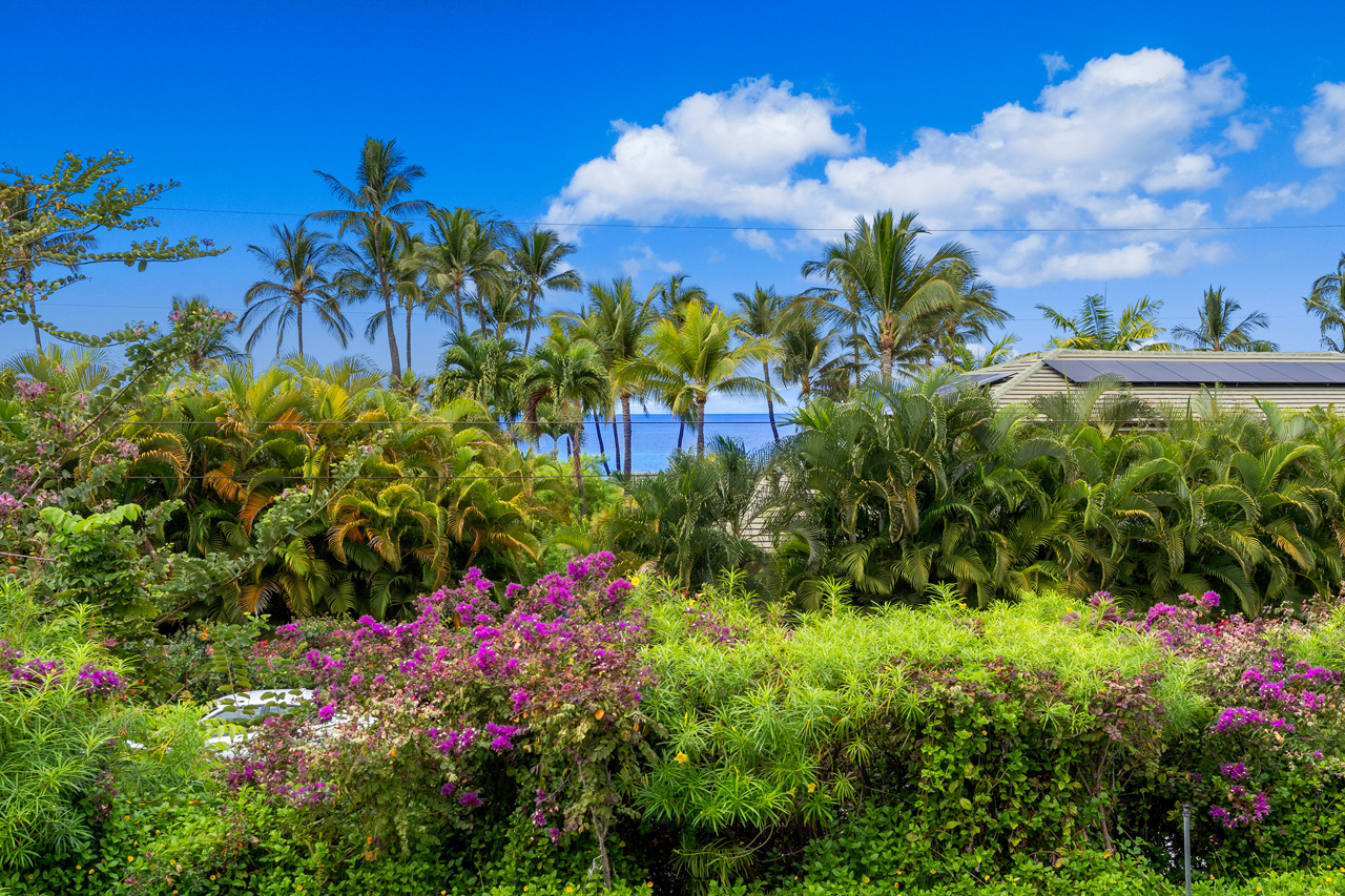 Ocean view from Lanai: 