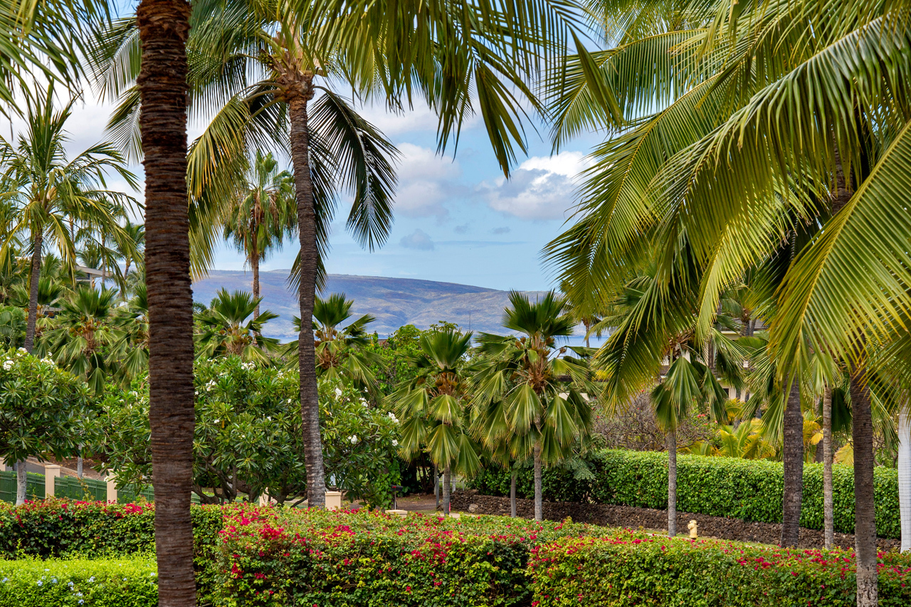 Views of the pool and the ocean: 