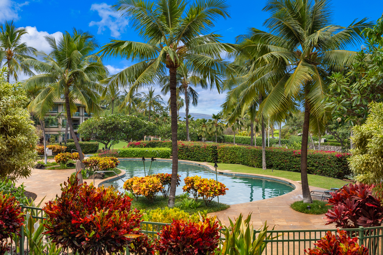 Views of the pool and the ocean: 